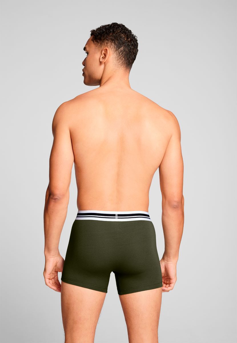Puma Boxershorts Everyday Placed Logo 2-pack Forest Night