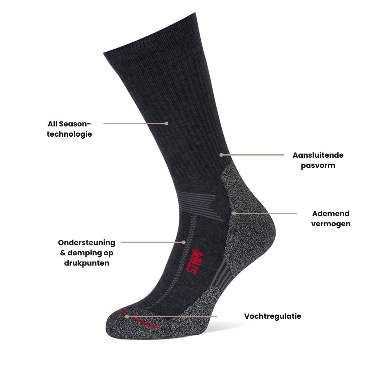 STAPP Wandelsokken Techno Boston All Season 3-pack Antraciet