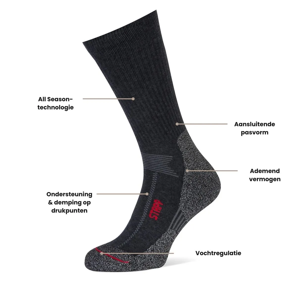 STAPP Wandelsokken Techno Boston All Season 3-pack Antraciet