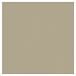 DDDDD Theedoek Logo Taupe