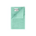 The One Gastendoek 30x50 cm 500 gram Mint