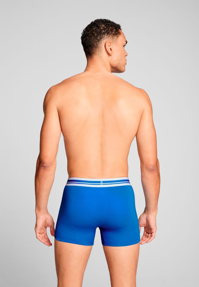 Puma Boxershorts Everyday Placed Logo 2-pack True Blue