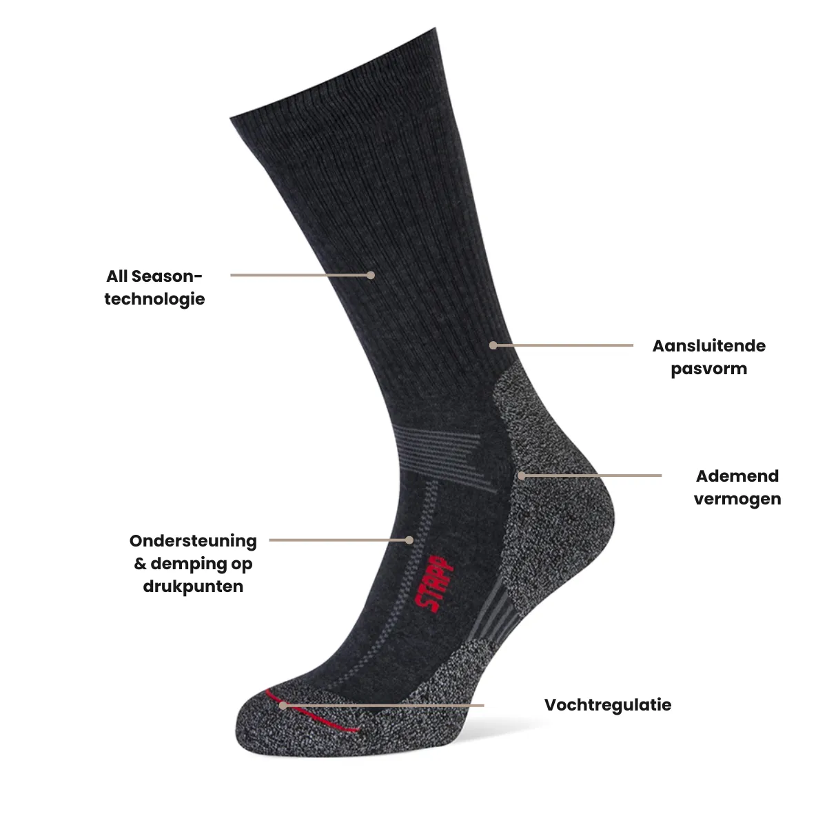 STAPP Wandelsokken Techno Boston All Season Antraciet